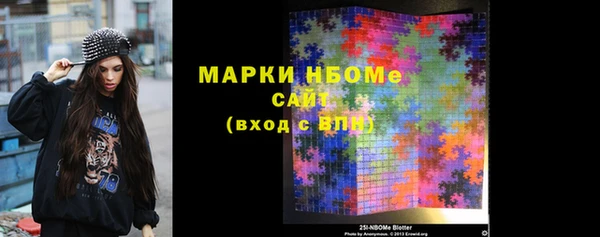 индика Богданович
