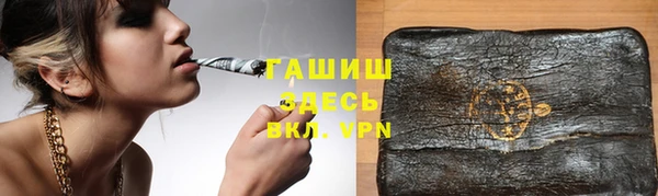 индика Богданович