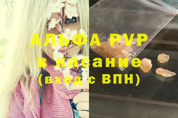 индика Богданович