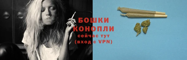 индика Богданович