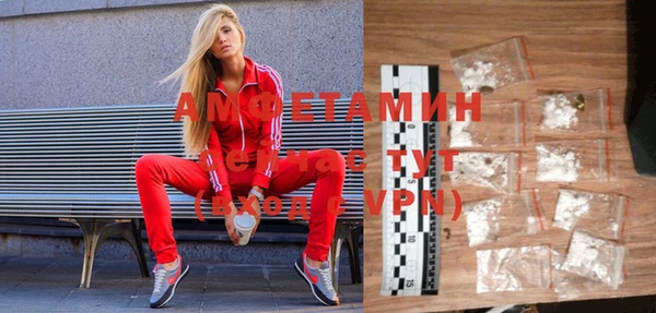 индика Богданович