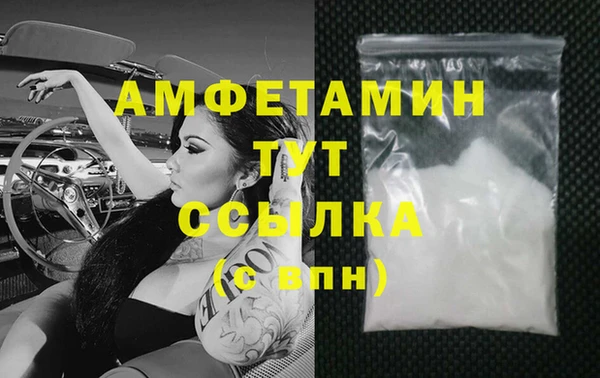 индика Богданович