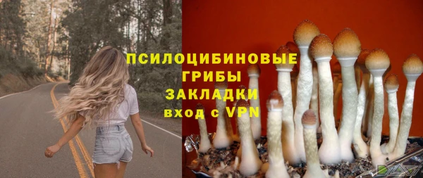 индика Богданович