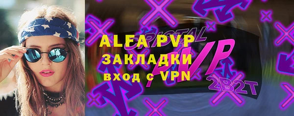 индика Богданович