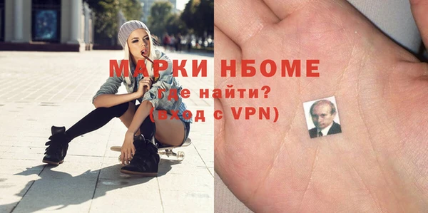 индика Богданович