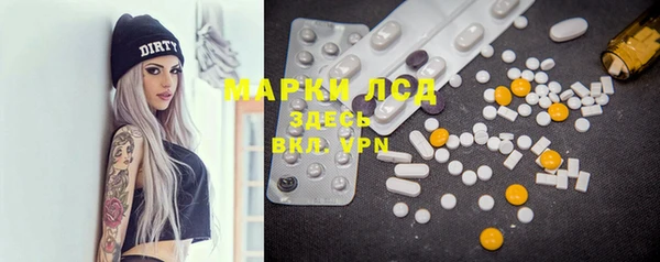 индика Богданович